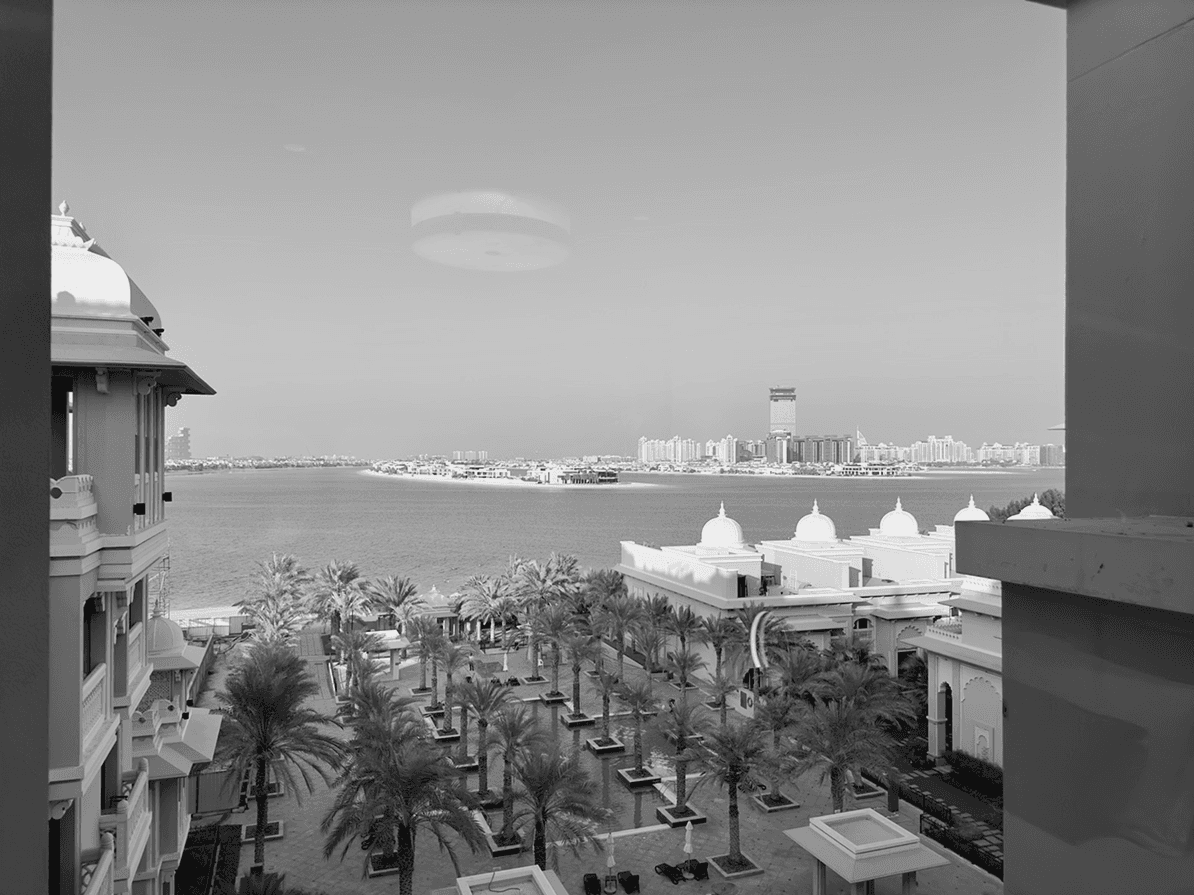 Black-and-white waterfront luxury property view in Dubai